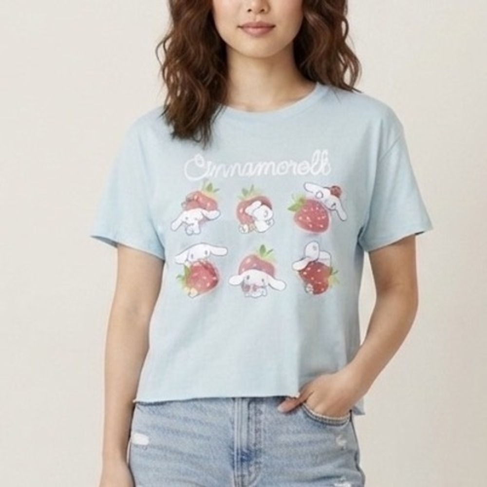 Sanrio Cinnamoroll Strawberry Graphic T-Shirt Light Blue Raw Hem Top Large